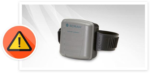 security device with alerts image