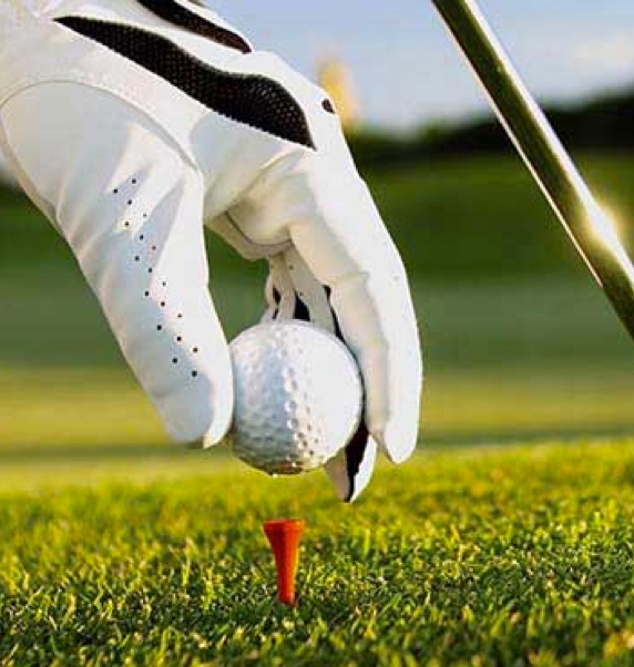 Mulligan golf Payment portal