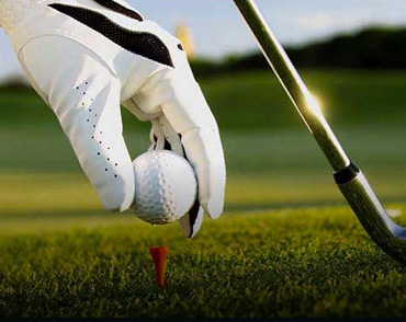 Mulligan golf Payment portal